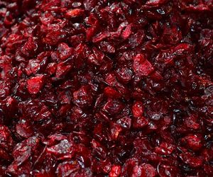 Suszona żurawina: jak ususzyć żurawinę w domu?