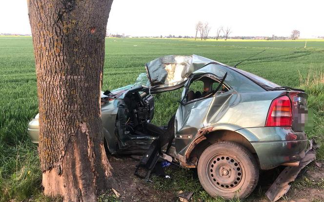 ZMASAKROWANE auto! 23-latka uderzyła w drzewo i zginęła! [ZDJĘCIA]