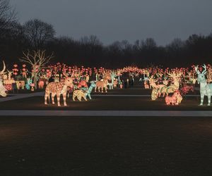 Lumina Park Myślęcinek. Jakie nowe atrakcje czekają na gości?