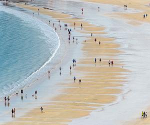 Połowa piaszczystych plaż może wyginąć do 2100 roku
