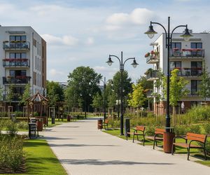 Leszno w czołówce miast. Które kryteria przesądziły o sukcesie?