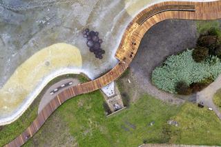 Nowe oblicze parku na Polu Mokotowskim. Nowe ławki, brak betonu i hotele dla owadów