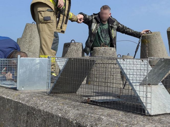 Pies uwieziony na falochronie.