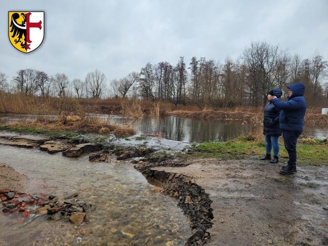 Podtopione domy pod Wrocławiem. Przerwany wał i stan alarmowy na kilku rzekach 