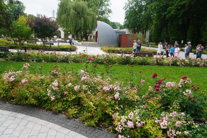 Park Zdrojowy w Busku