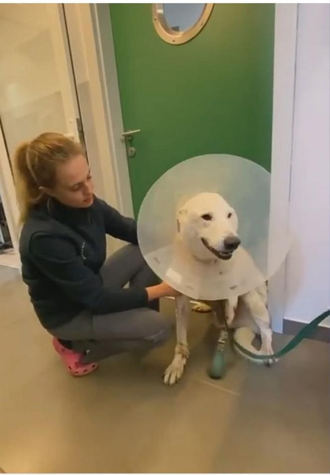 Dostał łapę z drukarki 3d