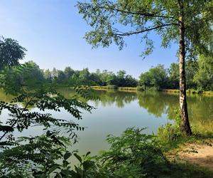 Kraków - Park Tetmajera