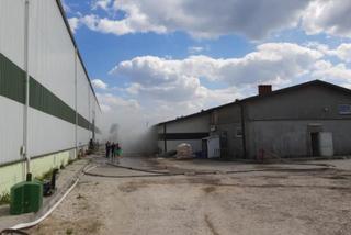 Pożar w Kliszowie. Płonęła hala produkcyjna herbat owocowych. Strażacy: Pachniało