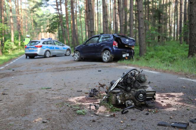 Opolskie: Huknęli z wielką prędkością w drzewo. Silnik wyleciał z pojazdu. Trzy osoby ranne! [ZDJĘCIA]
