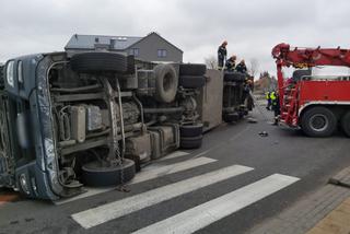 Wypadek ciężarówki przewożącej świnie w Wierzbicy koło Serocka