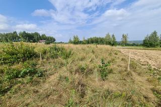 Zabójstwo w Sołonce. Mąż miał zabić żonę [GALERIA]