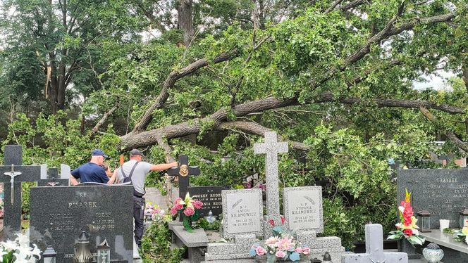 Burze nad województwem łódzkim. Strażacy interweniowali blisko 240 razy