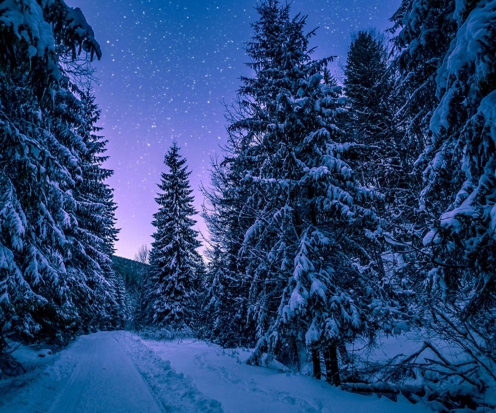 zimowy las nocą
