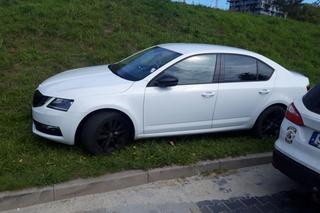 Mistrzowie parkowania w Katowicach zatrzymują się wszędzie