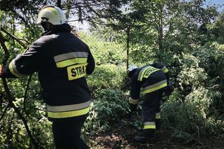 Weekendowe nawałnice na Podkarpaciu