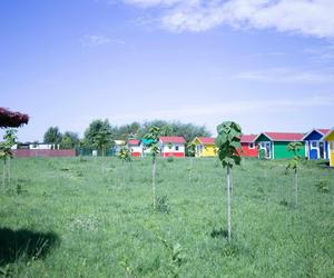 Bandyci zniszczyli jedyne takie miejsce dla zwierząt na świecie.