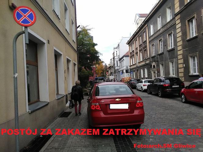 Miszczowie parkowania. Tak się to robi w Gliwicach