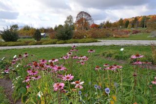 Ogród Botaniczny w Kielcach przed sezonem 2025