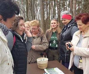 Posadzili kawałek lasu w miejscu wyciętego