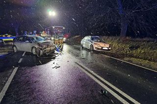 Tragedia na DW 790 w powiecie zawierciańskim. 51-latki nie udało się uratować