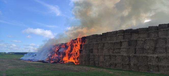 Ogromny pożar pod Braniewem. 1000 balotów słomy w ogniu [ZDJĘCIA]