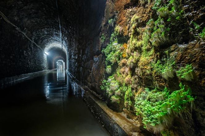 Górnicze dziedzictwo Zabrza na drodze do światowego uznania. Miasto walczy o wpis na listę UNESCO