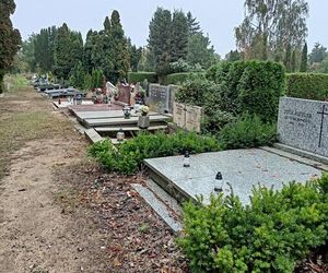 Wszystkich Świętych: Gdzie wyrzucić stary znicz lub wieniec?