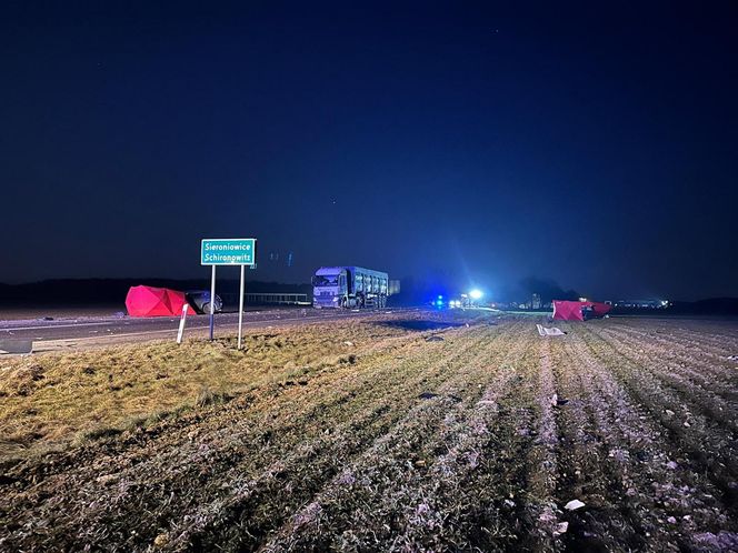 Sieroniowice. Trzy osoby zginęły w wypadku na DK88. Tragedia pod Strzelcami Opolskimi [ZDJĘCIA]