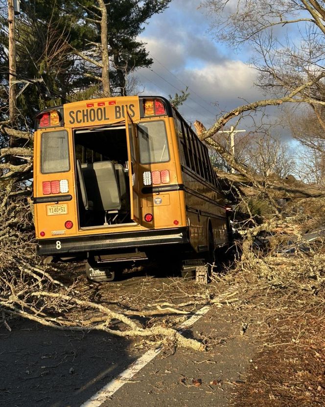 Drzewo runęło na szkolny autobus w New Jersey