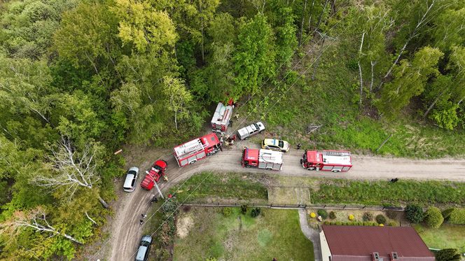 Wołomin: Płonie Natura 2000. Dym widać z wielu kilometrów