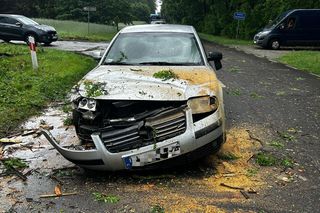 Potężne burze nad Polską. Drzewa spadały na samochody, setki interwencji straży pożarnej 