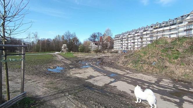 Miasto chwali się Parkiem Krzyckim. Na hucznym otwarciu mieszkańcy zastali plac budowy 