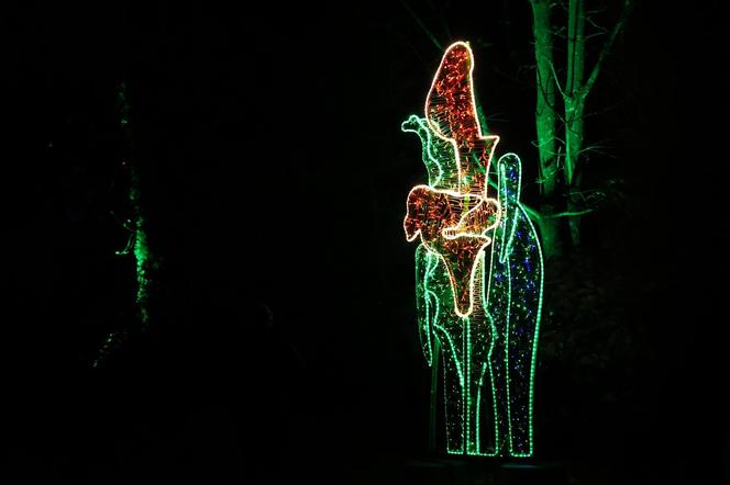 Park iluminacji 2023 w Lublinie