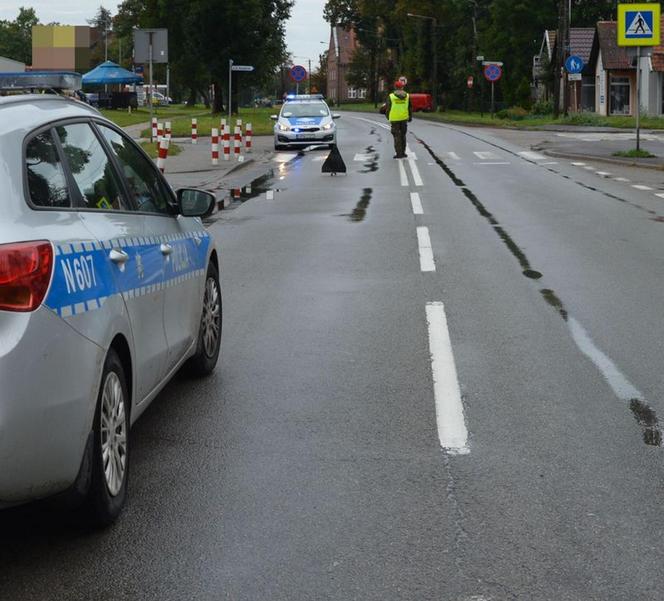 Staruszka potrąciła 17-latkę na przejściu w Malborku! Uciekła z miejsca zdarzenia, a później tłumaczyła się w kuriozalny sposób [ZDJĘCIA].