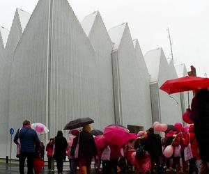 Marsz Różowej Wstążki w Szczecinie