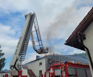 Pożar w magazynie firmy spożywczej. Słup ognia i dymu widać z daleka