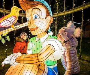 Ogród Świateł Pinokio w Legendii Wesołym Miasteczku 2022