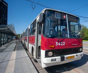 Łódzkie Linie Turystyczne wyjeżdżają na trasy