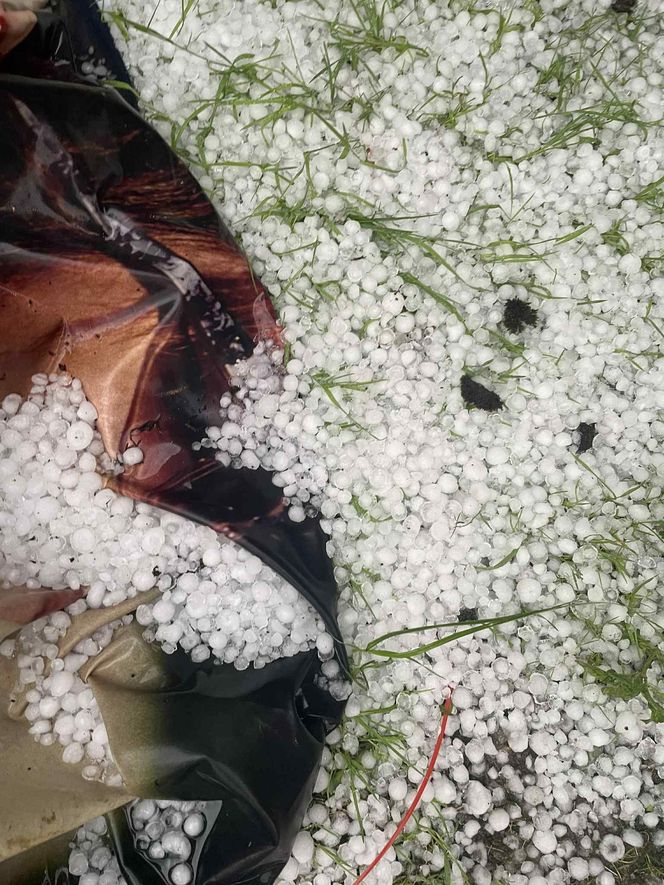 Groźne burze suną przez Dolny Śląsk. Gradobicie w okolicy Bolesławca, trudna sytuacja na A4 