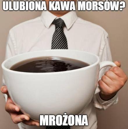 Morsowanie: MEMY 2021. Zobacz najlepsze obrazki i memy o morsowaniu! [ZDJĘCIA]