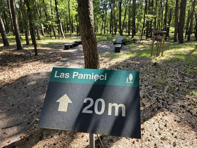 Łąka pamięci – nowy sposób pochówku, który może powstać w Lesznie