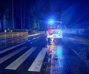 W Samborcu konar drzewa spadł na samochód. Jedna osoba ranna