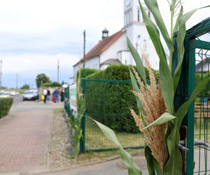 Dożynki w Orzeszu-Zgoniu