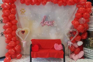 Zwierzaki można wyprowadzić do godz. 16