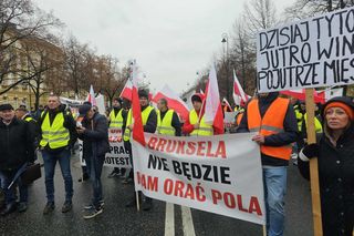Protest plantatorów tytoniu w Warszawie (3.11.2025)