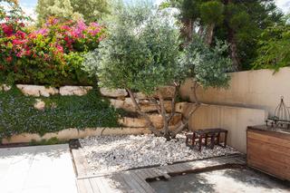 Ogród w stylu śródziemnomorskim. Jak zaaranżować ogród w stylu śródziemnomorskim
