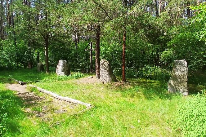 Leśny cmentarz rodu von Ramin