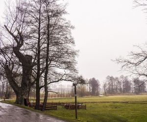 Odwiedziłam słynną Chatkę Puchatka na Śląsku 