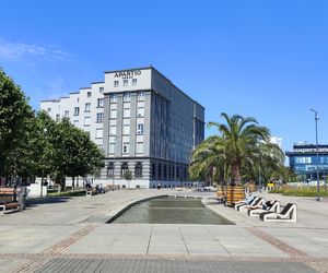 Katowice jak patelnia. Obowiązuje ruch cieniostronny. Nawet gołębie chowają się w cieniu