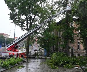 Burze i nawałnice przeszły nad Polską. Strażacy podali miażdżące dane